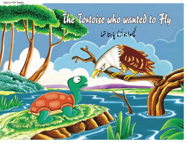 The Tortoise who Wanted to Fly